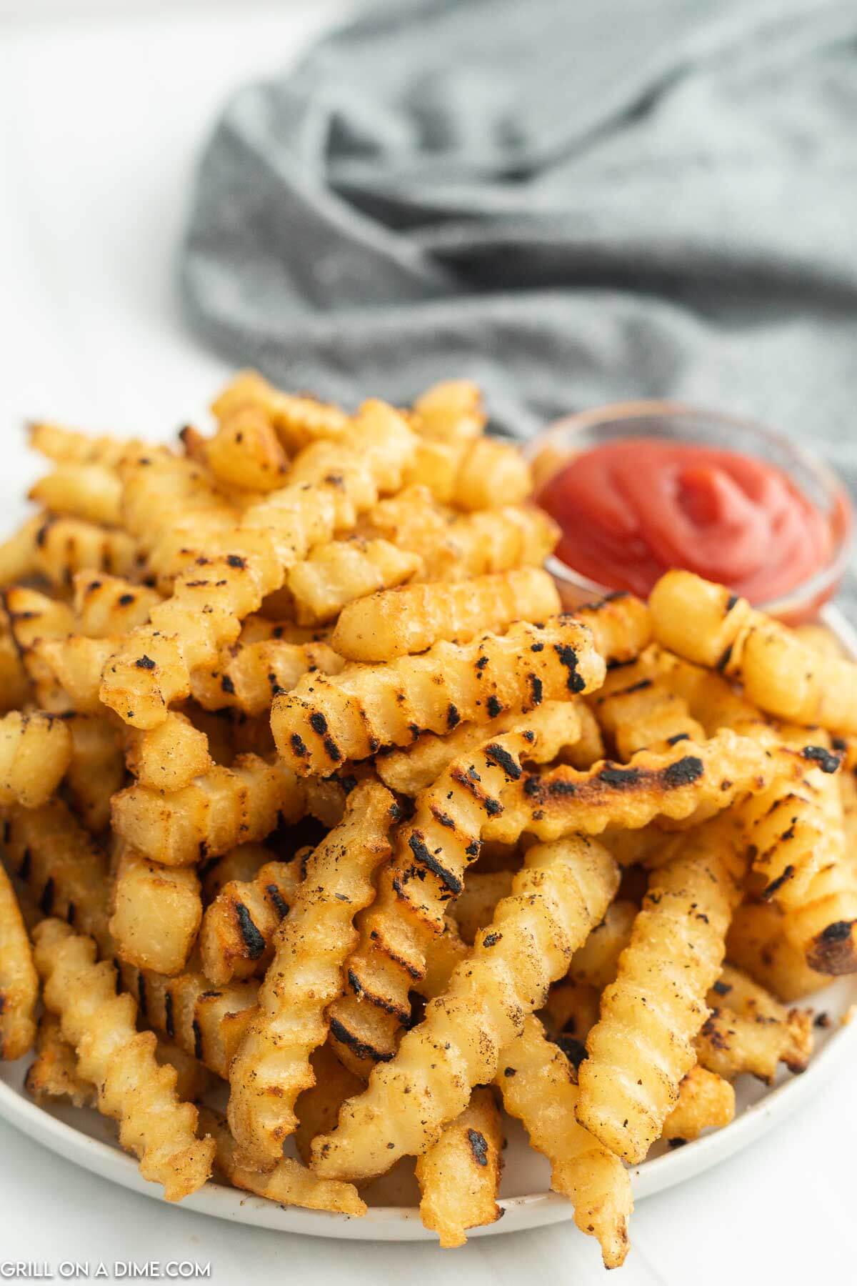 Frozen French Fries on Blackstone (with VIDEO!)
