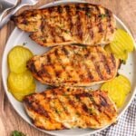 Grilled Chicken on a plate with slice pickles on the side