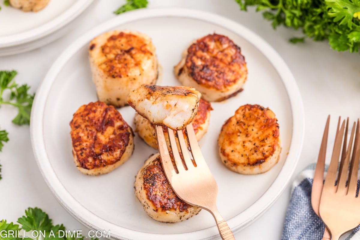 Scallops on Blackstone