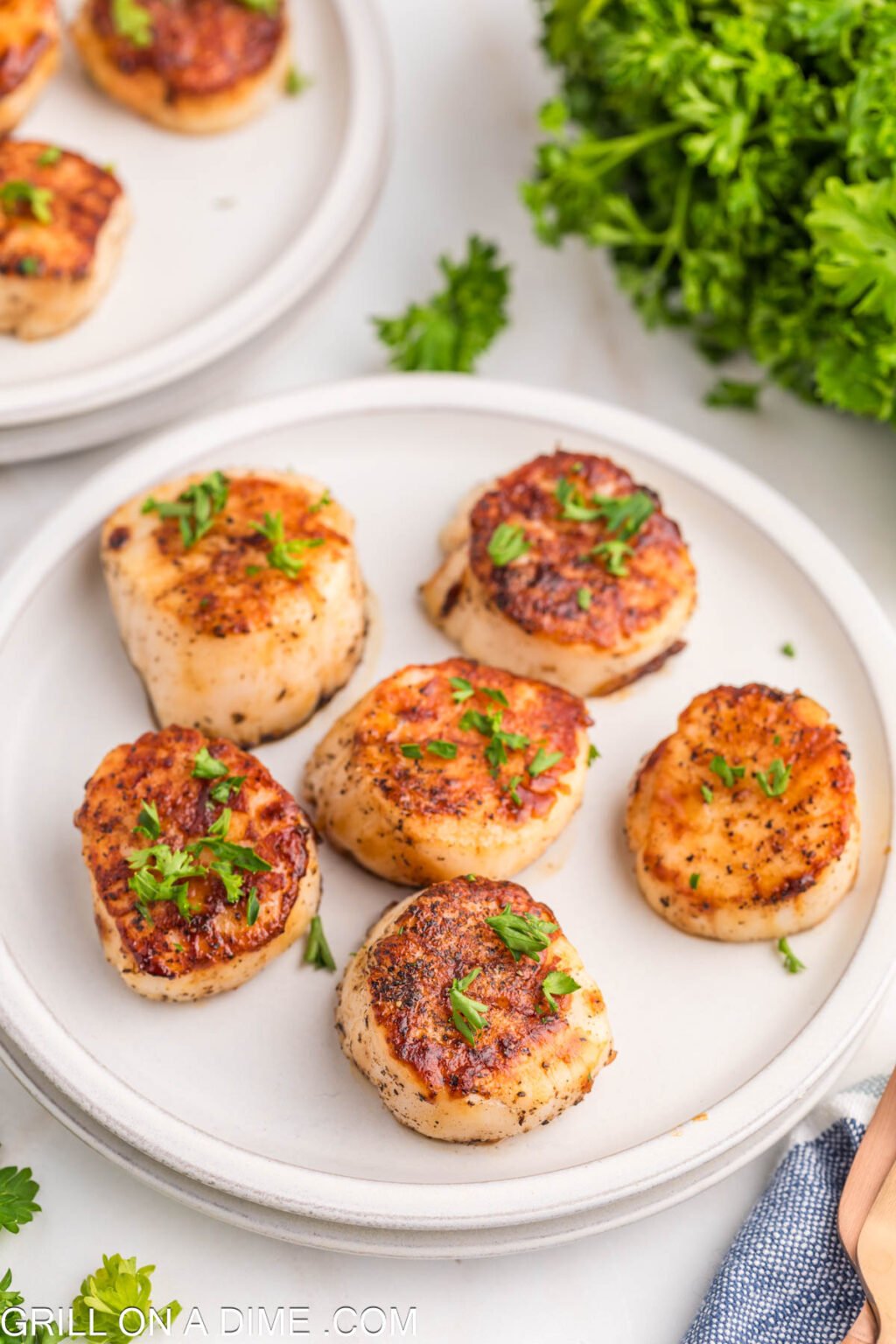 Scallops on Blackstone