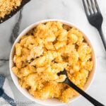 Creamy macaroni and cheese in a white bowl, topped with golden breadcrumbs. Perfect comfort food recipe from Grill on a Dime.