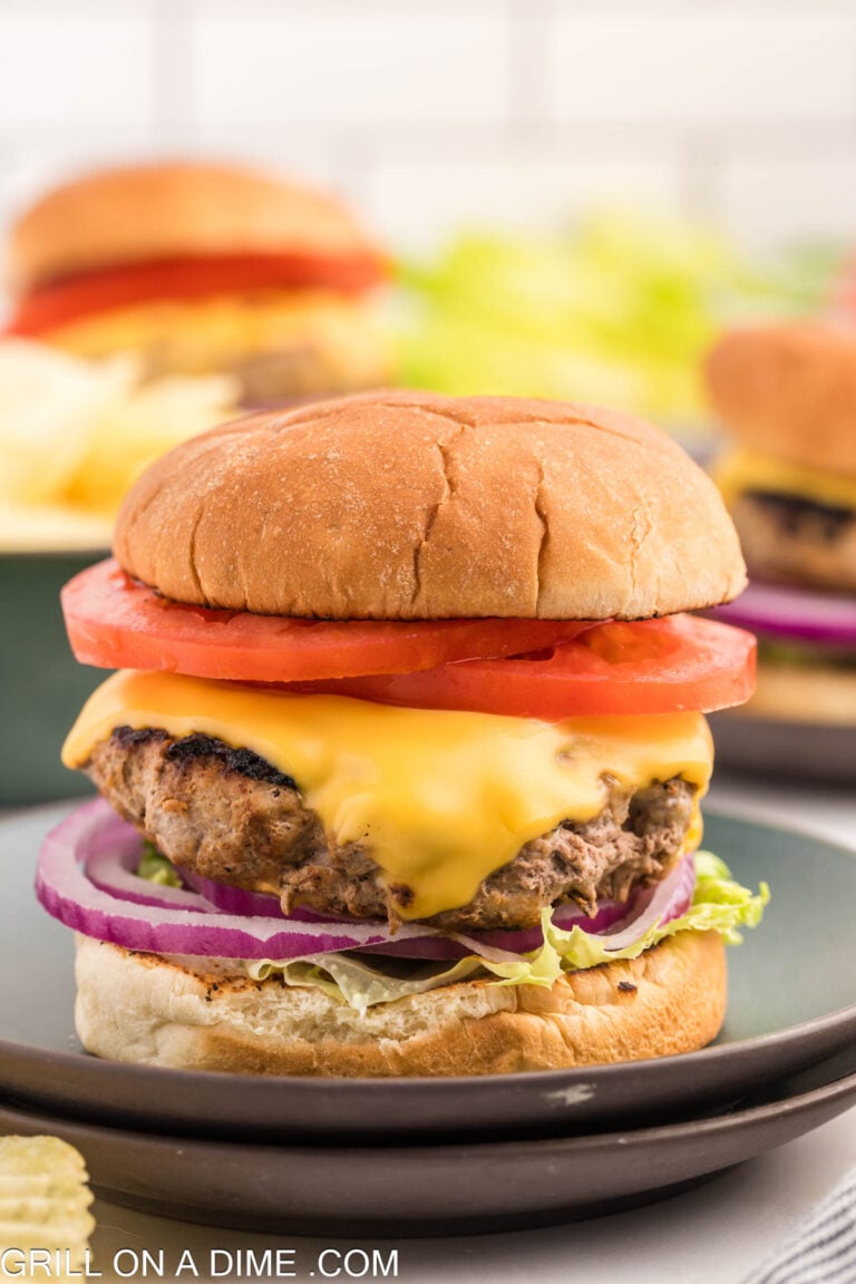 Blackstone Turkey Burger