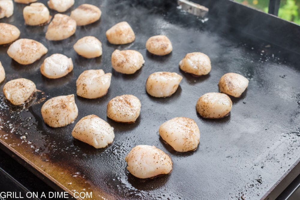 Scallops on Blackstone