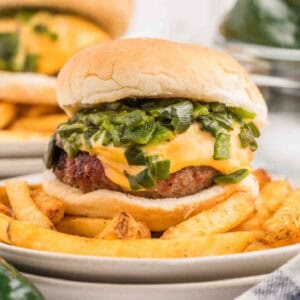 A cheeseburger with green onions and cheese on a plate.