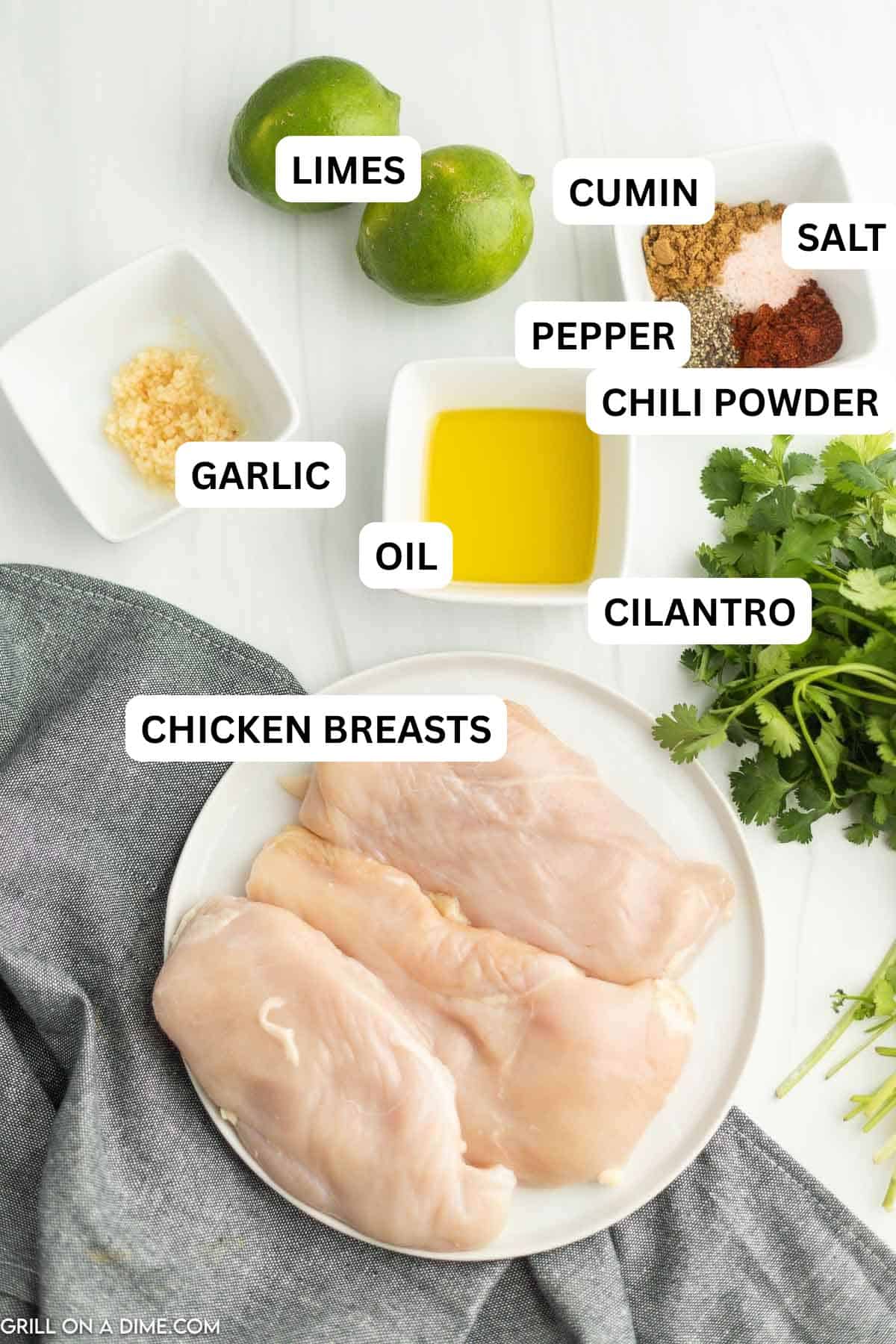 Ingredients needed to make this recipe which includes chicken breast, limes, oil, garlic, cumin, chili powder, salt and pepper, cilantro, corn tortillas, avocado and red onion.