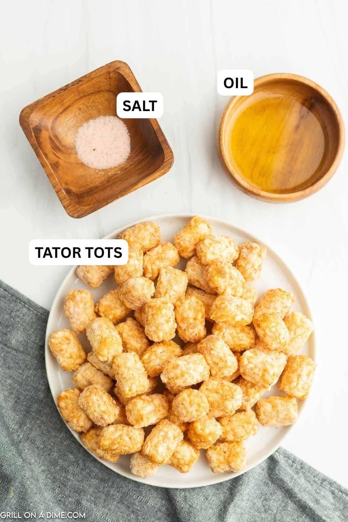 Ingredients needed to make this recipe which includes frozen tator tots, oil, and salt.