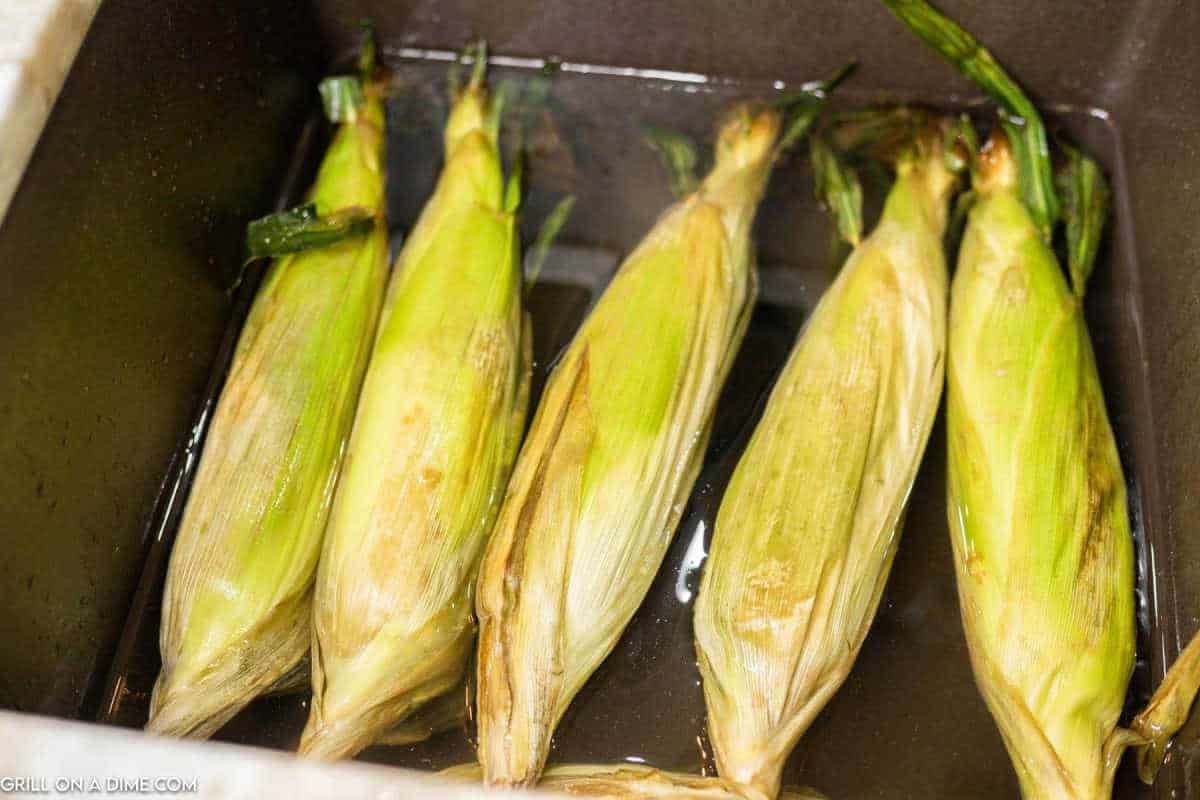 Corn on the cob soaked in water.