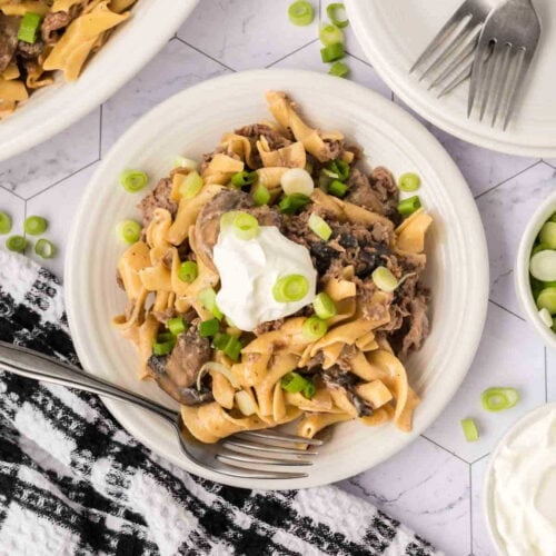 Creamy beef stroganoff with egg noodles garnished with chopped green onions. Delicious comfort food served on a white plate.