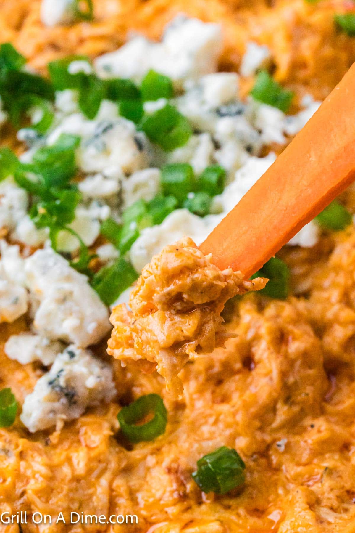 Buffalo Chicken Dip with a carrots dipping into the dip