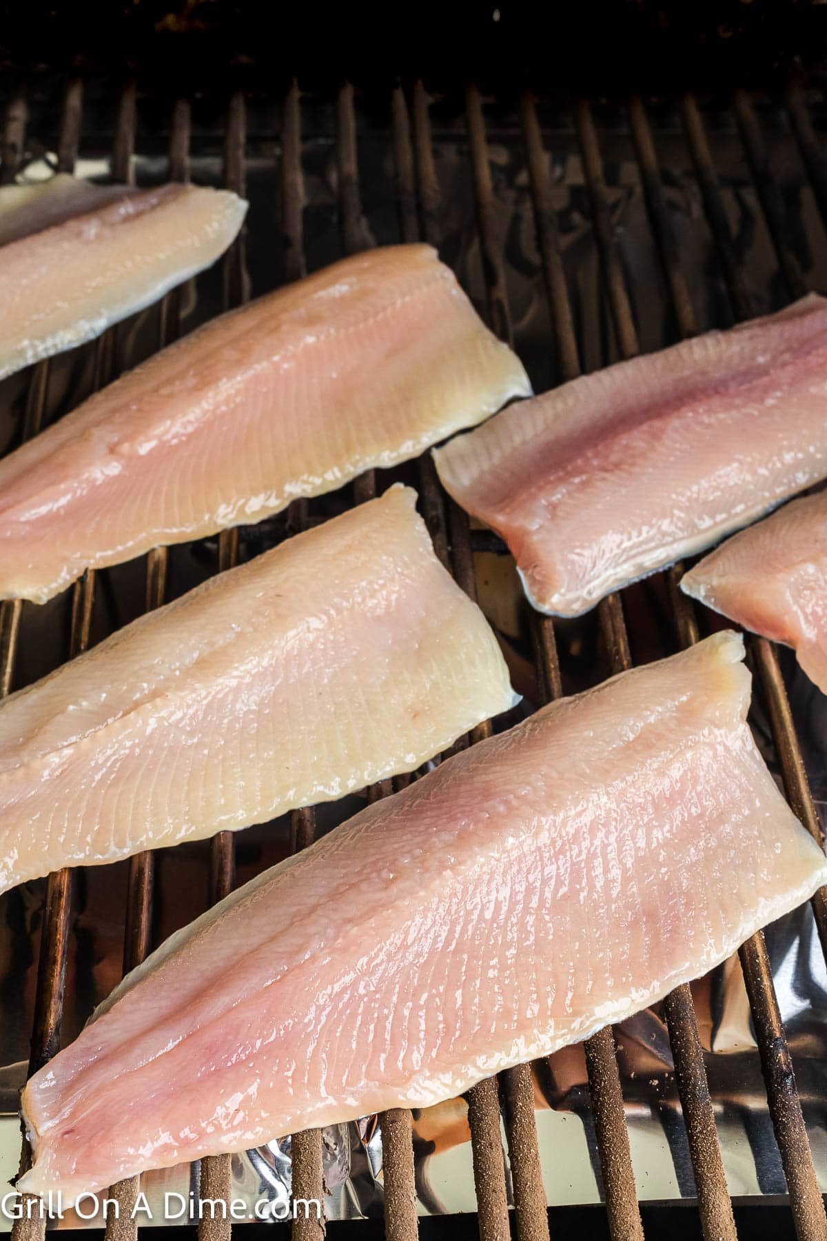 Trout Fillets placed on the smoker racks