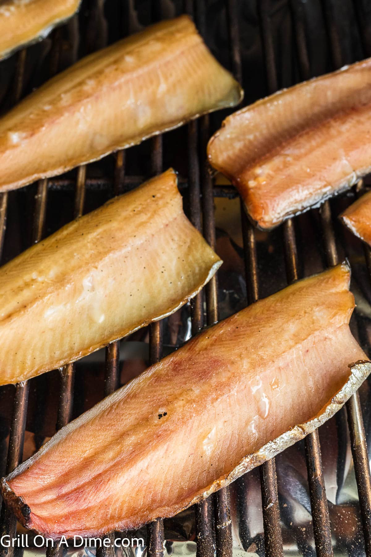 Smoked Trout Fillets on the smoker racks