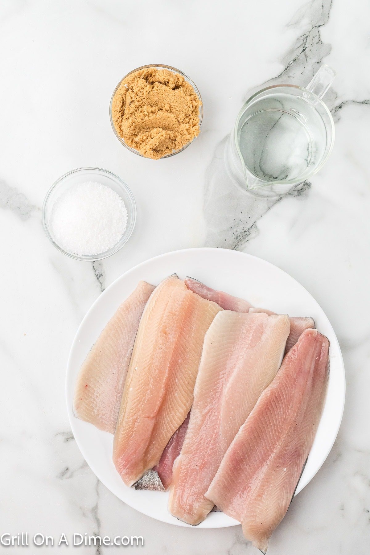 Ingredients - Trout filets, salt, brown sugar and water