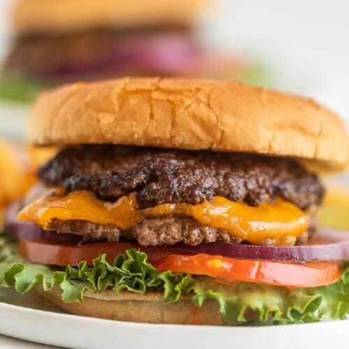 A close-up of a cheeseburger with a beef patty, melted cheddar cheese, lettuce, tomato, and red onion on a soft hamburger bun, served on a white plate.