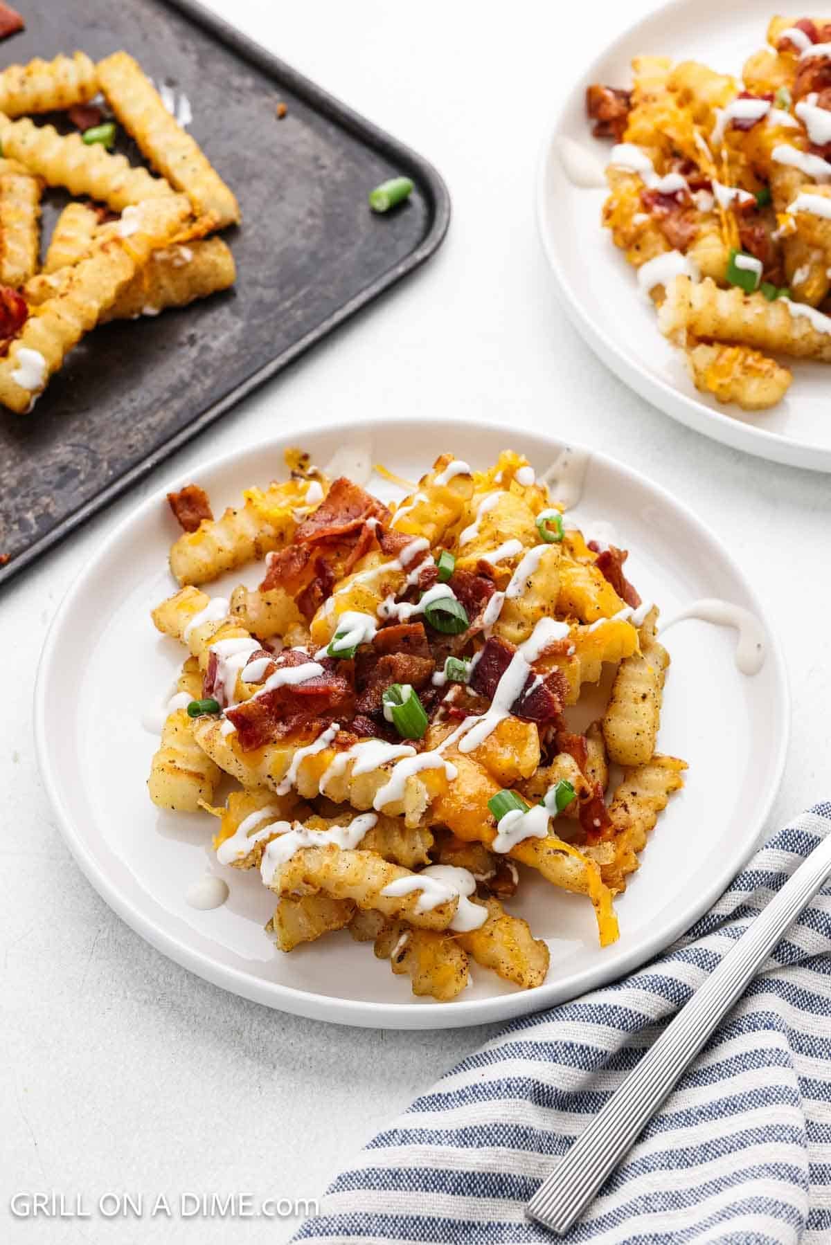 A serving of cheese fries on a white plate. 